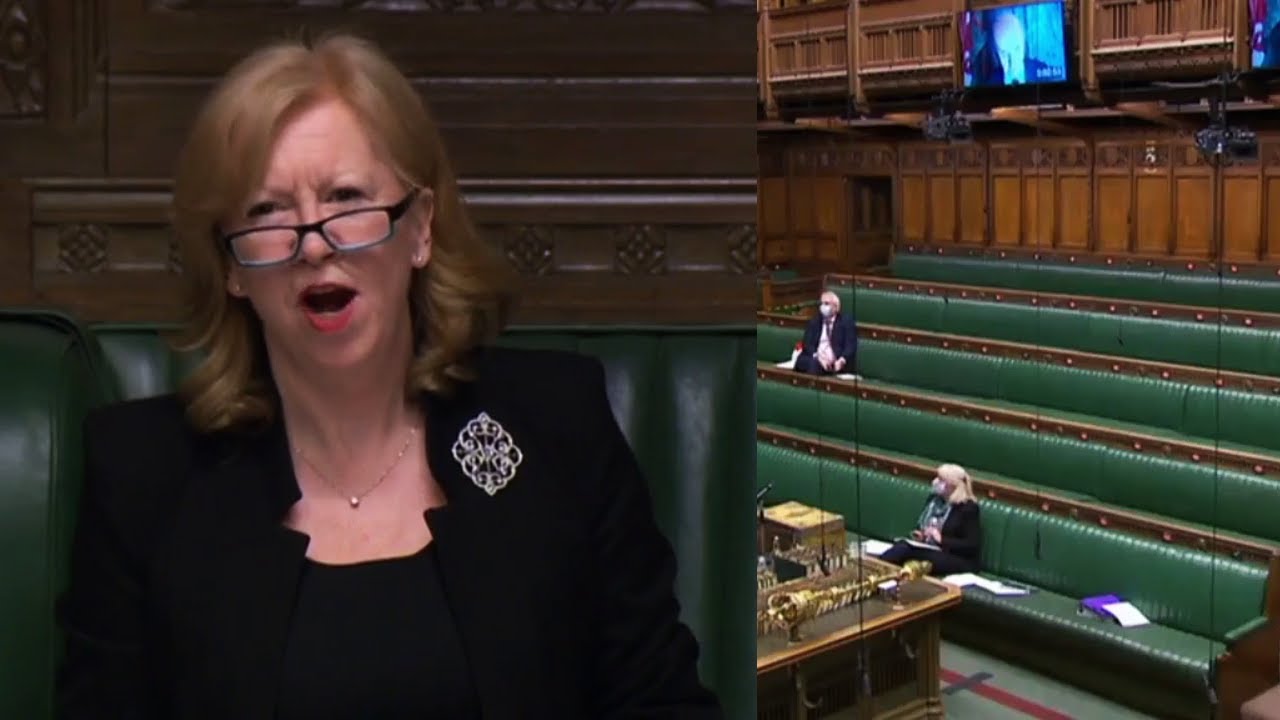 Deputy Speaker reaches peak Zoom frustration