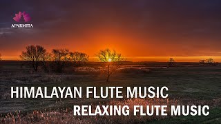 Download lagu Morning Flute Music | Himalayan Flute Music | Relaxing Music | (बाँसुरी) Aparmita Ep. 79