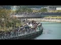 LIVE: Rescue efforts to guide shark stranded in South Korean canal