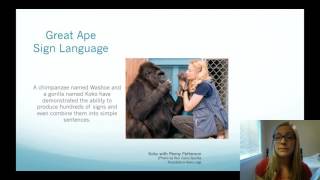 Great Ape Sign Language