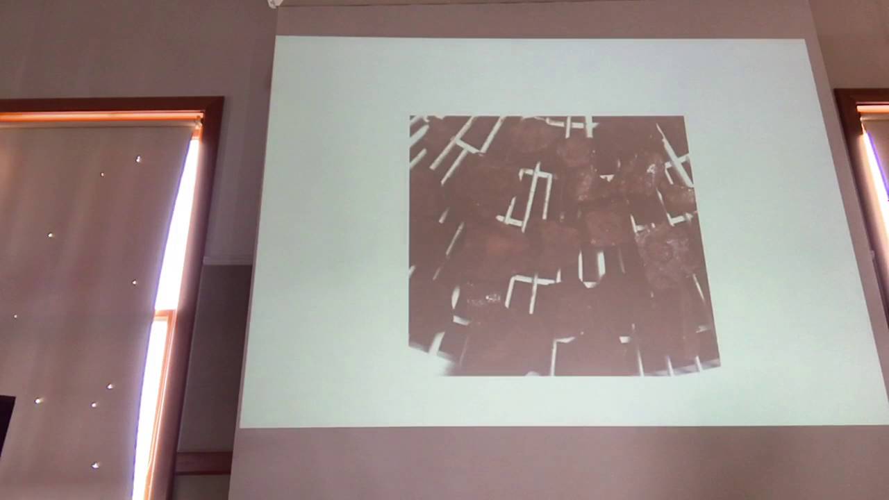 Polygonum multiflorum processing. The making of He Shou Wu/何首烏