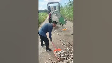 Garlic head soil sifting tool- Good tools and machinery can increase work efficiency