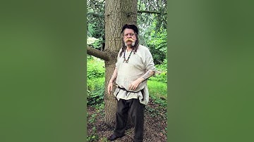 Everybody Should Hug a Tree #Shorts #treehugging #trees #hugging #treehugger #like #viral