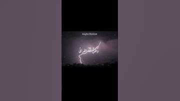 محمد اللحيدان سورة القيامة ❤️