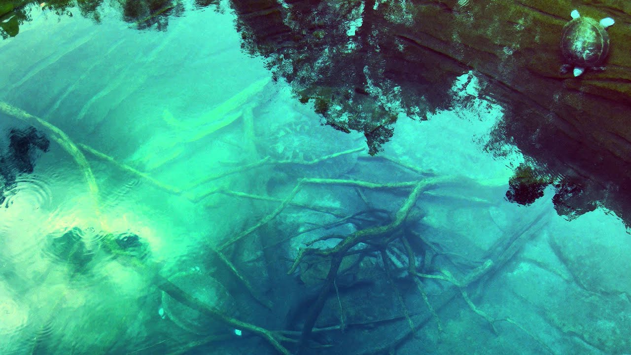 Olulo - Take A Look ᴴᴰ