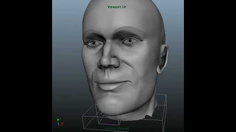 Facial Rigging