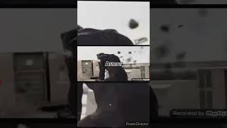 Black Panther Vs Catwoman