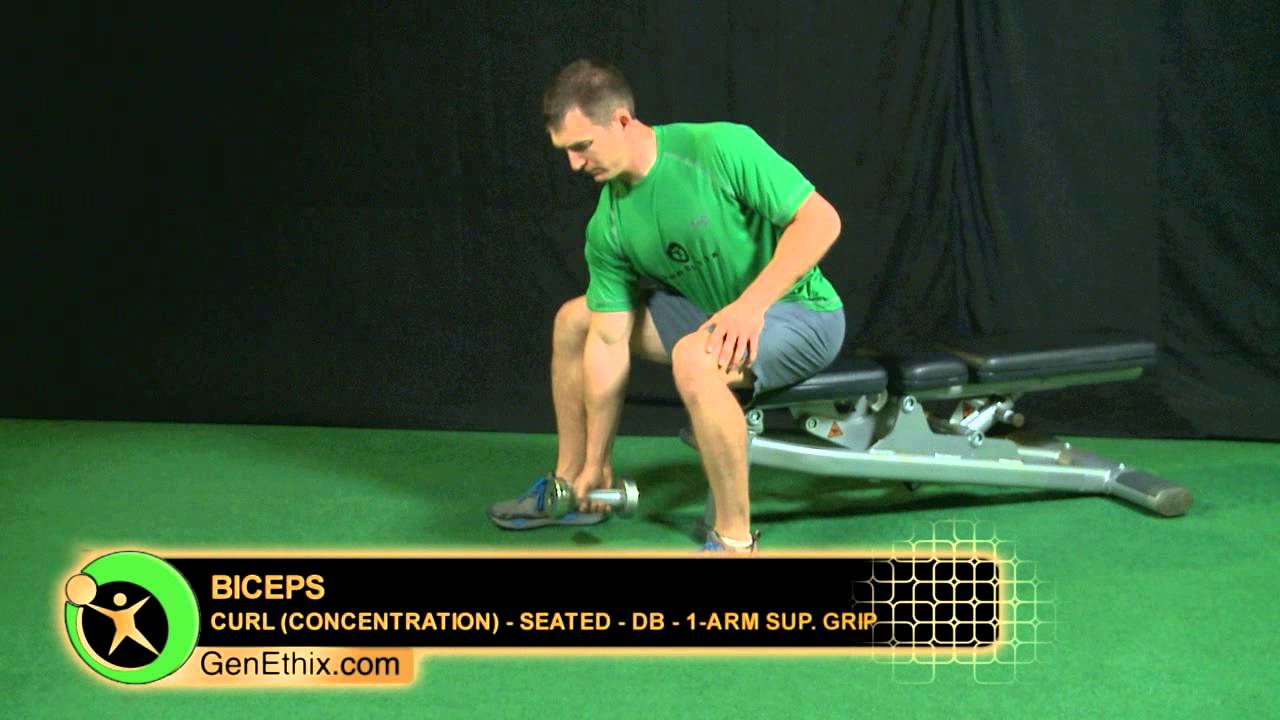 Biceps / Curl (Concentration) - Seated - DB - 1 Arm Sup. Grip
