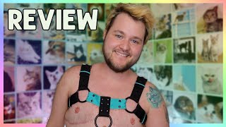 BULLDOG HARNESS REVIEW DD HARNESS