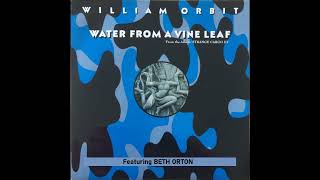 WILLIAM ORBIT With BETH ORTON – Water From A Vine Leaf (1993)