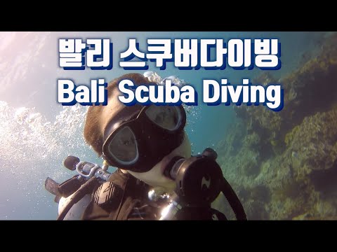 발리 블루라군 빠당바이 스쿠버다이빙 Bali <strong>Blue</strong> <strong>Lagoon</strong> Padangbai Scuba Diving :: 영애의 발리여행