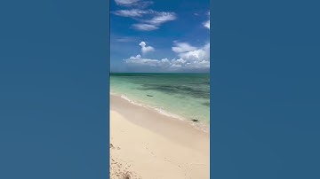 القرآن الكريم ❤️بصوت لا يوصف// و تلاوة خاشعة تريح القلب و تقتل الحزن @مجيدوchanel