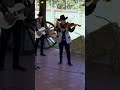 El correlón #estosiestierracaliente #violin #zapateado #michoacan #music #cochazosenvivo