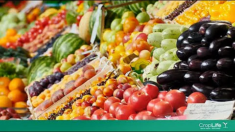 How plant biotechnology can help with access to safe and affordable food