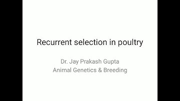 Recurrent Selection in Poultry