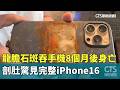 龍膽石斑吞手機8個月後身亡　剖肚驚見完整iPhone16｜華視新聞 20260520 @CtsTw