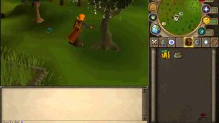 Soulsplit - Woodcutting 99! 2nd skillcape [2xp to 99] (Extreme mode)