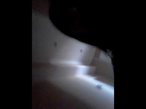 ჯადოსნობა