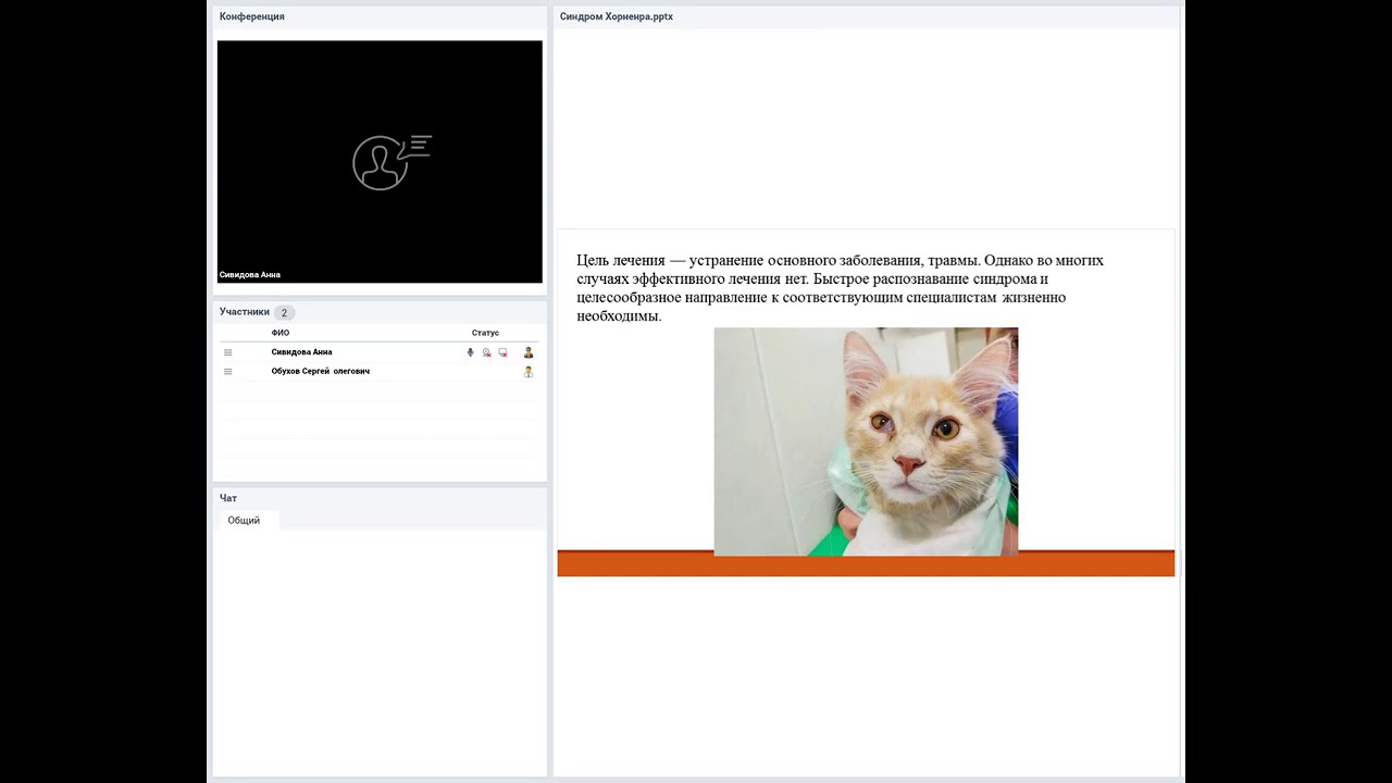 Синдром Хорненра. Этиология. Симптомы. Диагностика. Лечение.