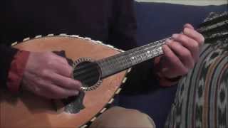 The Lark in the Morning (Irish Mandolin)