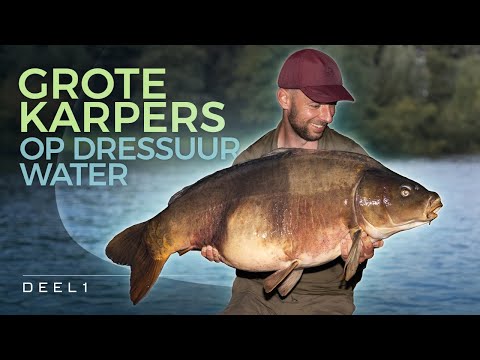 🎣 32 nights on dressage water - Big carp in the autumn part 1