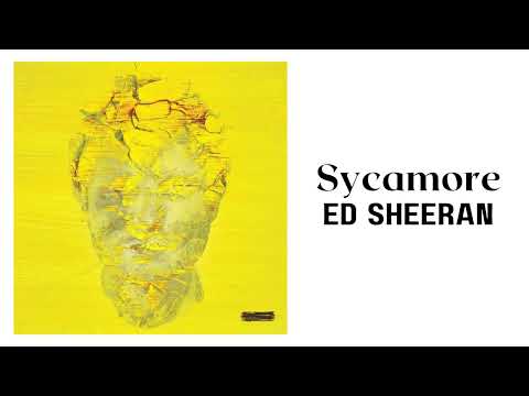 Ed Sheeran -
