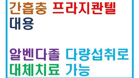 알벤다졸 간흡충 구충제 먹는법