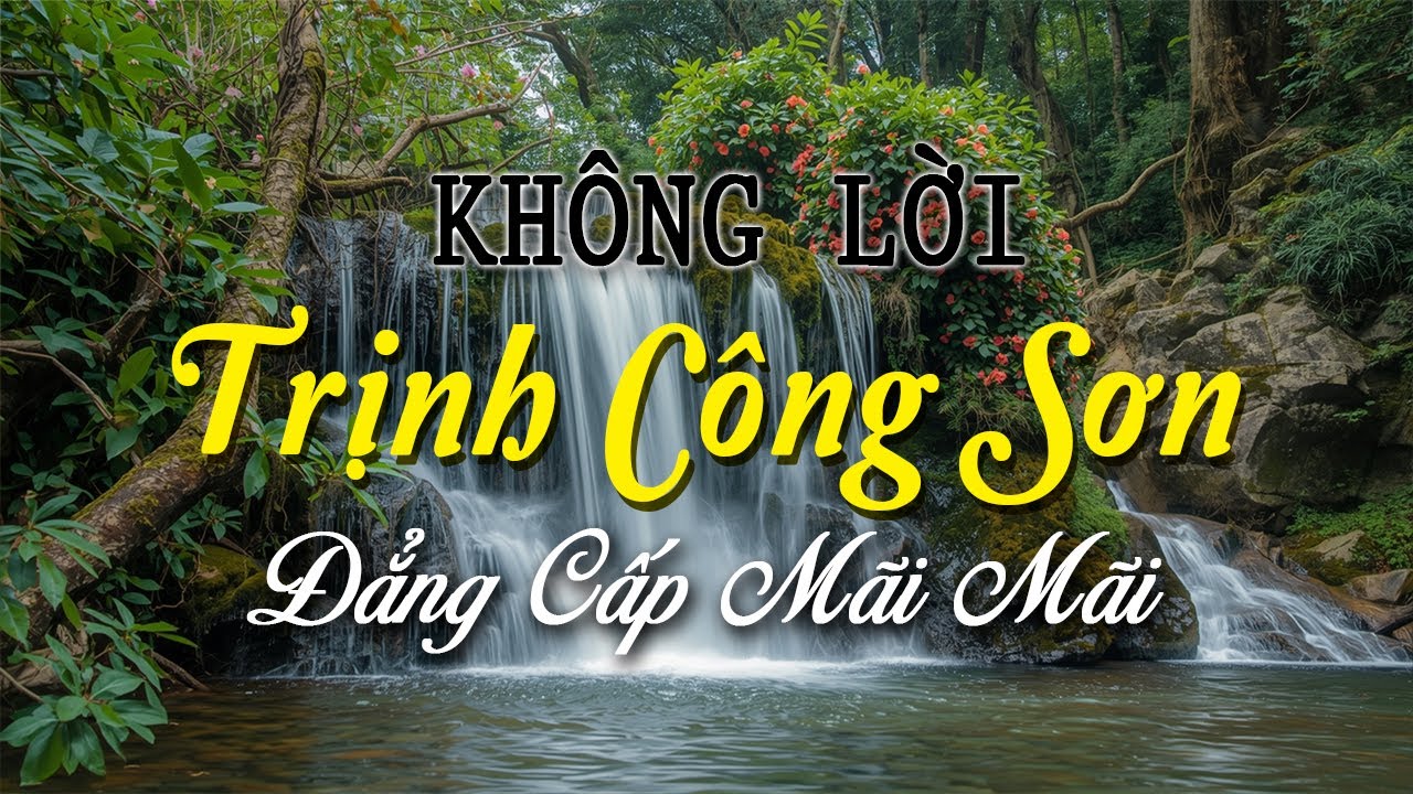 Nhạc Không Lời TRỊNH CÔNG SƠN Đẳng Cấp Là Mãi Mãi, Những Ca Khúc Giúp Bạn Nhẹ Lòng Hơn