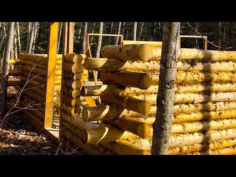 Canadian wilderness building an off grid log cabin alone in the forest ...