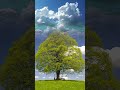 Blue Sky GreenScreen Effect #videoediting #chromakey #vfxshorts #greenscreenvideo #blueskyvibes