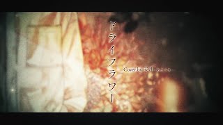 【Yuuri / Amatsuki】 Dry Flower (ドライフラワー)【Cover / Sub español】