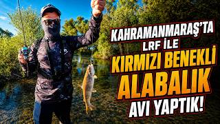 WE FISHED FOR RED-SPOTTED TROUT WITH LRF IN KAHRAMANMARAŞ!
