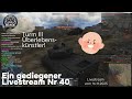 Ein gediegener Livestream War Thunder Nr 40 vom 16.11.2025 #warthunder #fyp #blackHD-lk4pd