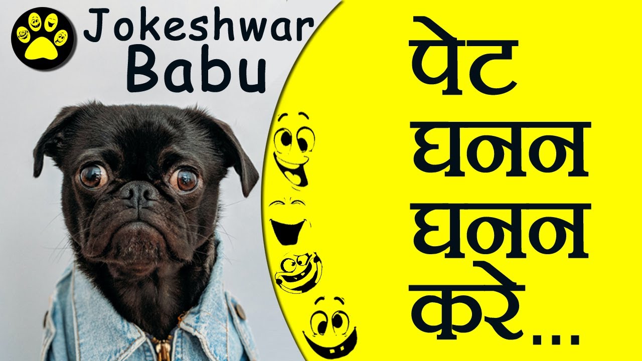 Funny Whatsapp Status | Funny Malvi Shayari | Animal Whatsapp Status
