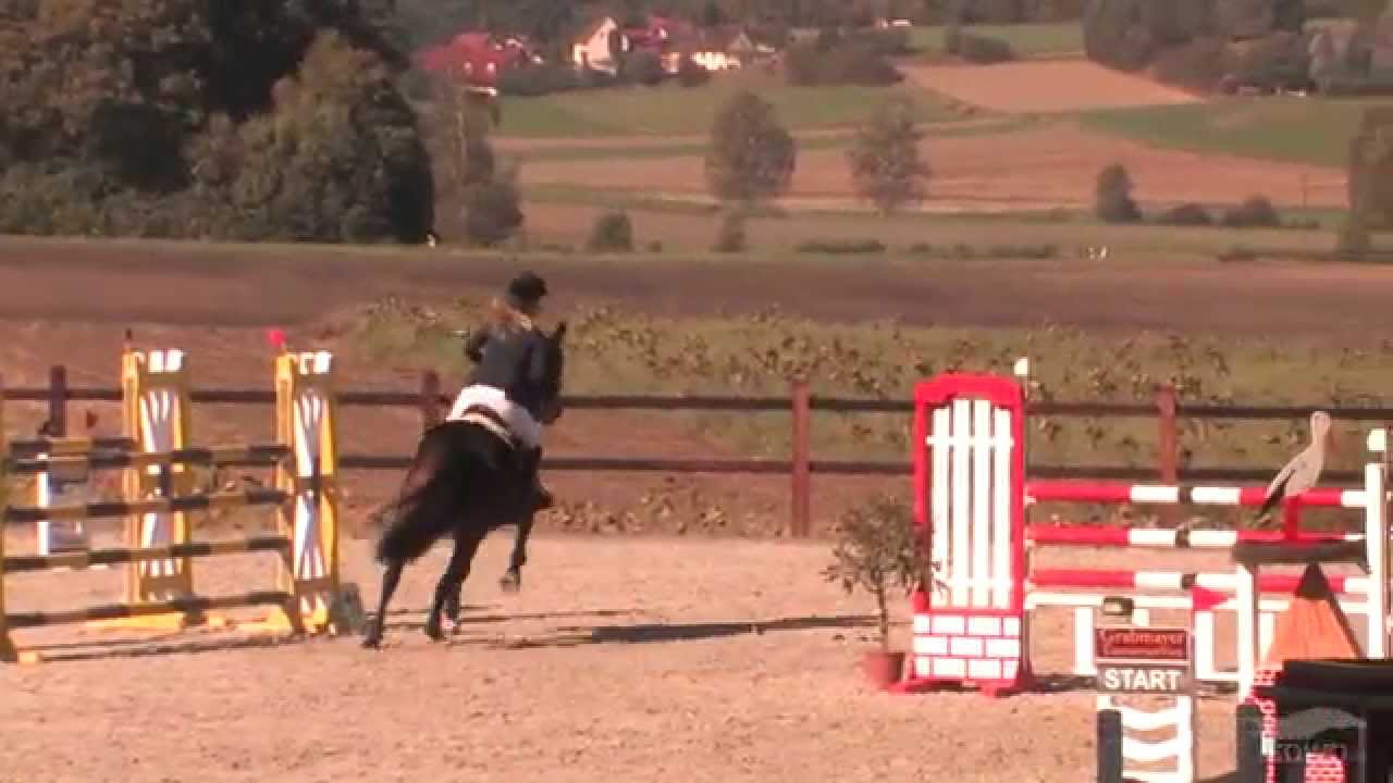 Covergirl du Toultia CSI** YoungsterTour