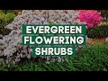 5 most beautiful flowering shrubs to plant in your garden 