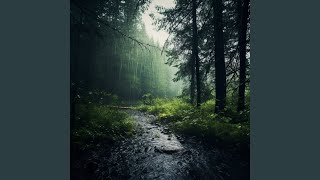 Reflective Rainfall