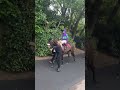 Imagine the feeling when the horse you look after wins a race!