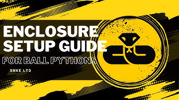 HOW TO SETUP YOUR 1ST BALL PYTHON ENCLOSURE - THE ULTIMATE BEGINNER