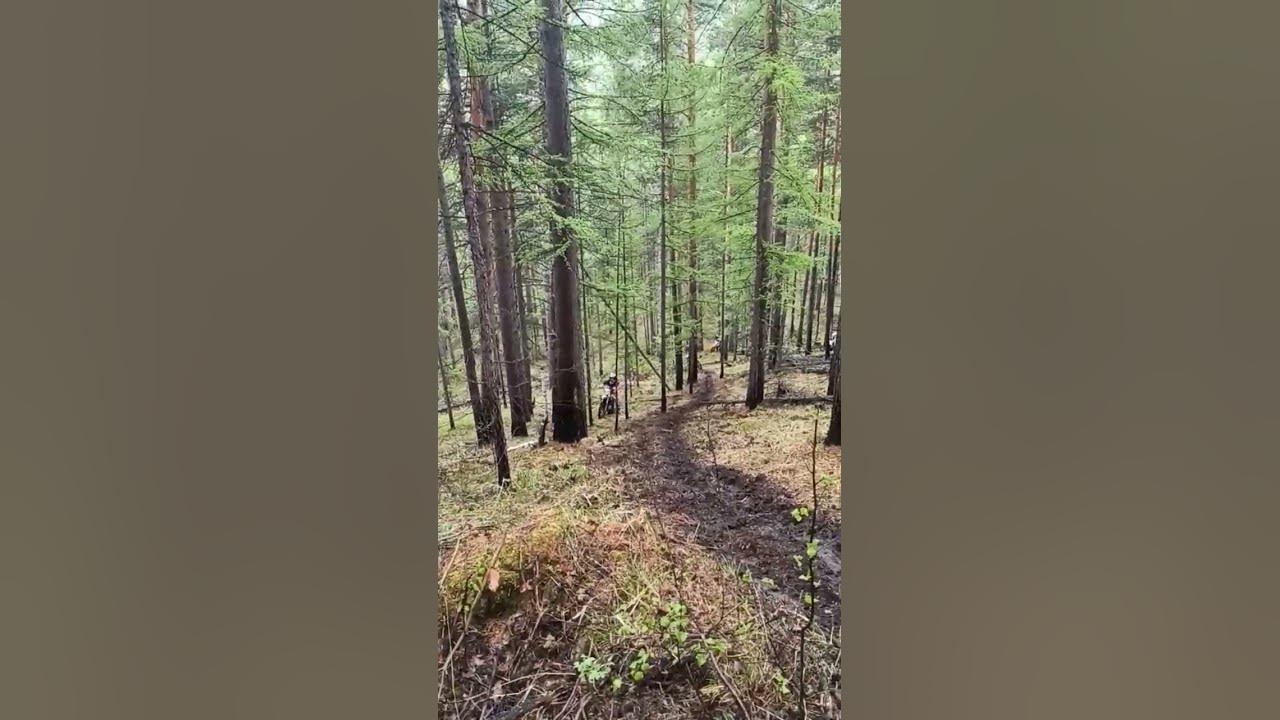две пилы в гору. - YouTube