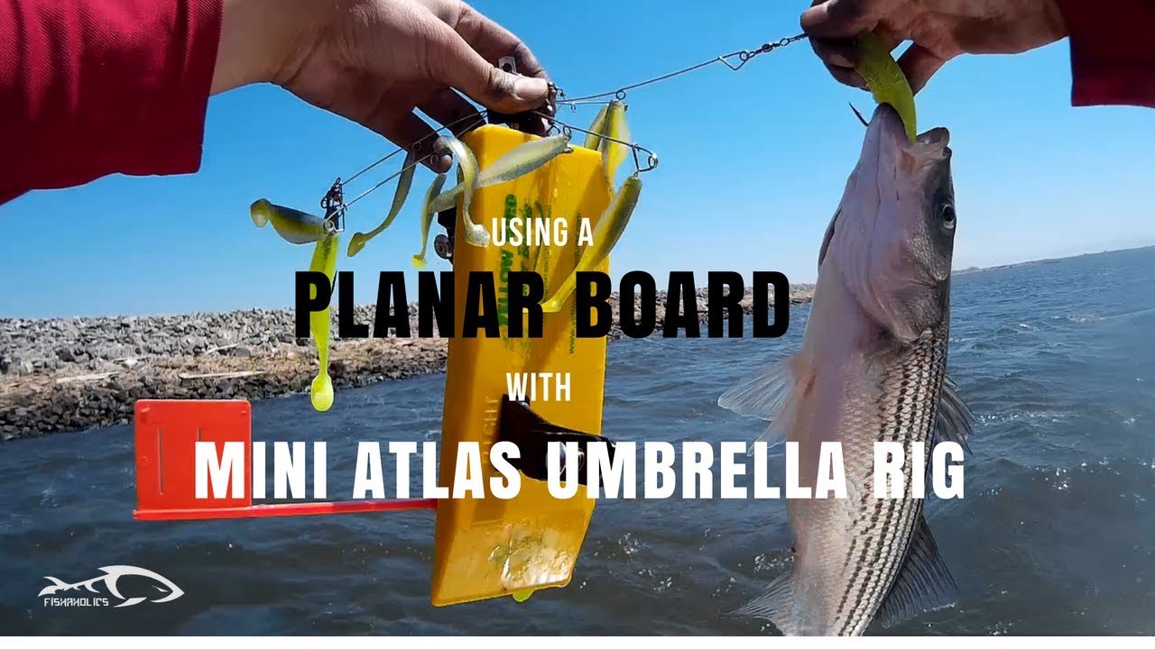 Using A Planar Board With mini Atlas Umbrella Rig 