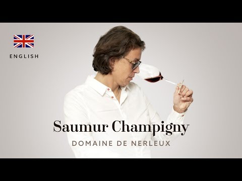 Saumur Champigny les loups noirs - Domaine de Nerleux 2014 - English
