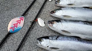 Spring Kokanee Fishing | Lures, Locations, Techniques, and Landing Them!