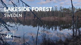Swedish Forest Walk at Dusk – Tranquil Lake Reflections screenshot 5