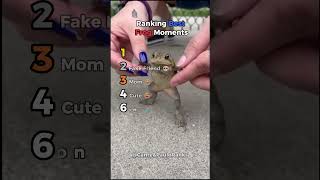 Ranking Best Frog Moments
