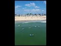 his NJ Beach Town Feels Like A Mini Florida