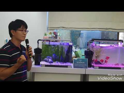 2017台灣觀賞魚博覽會預展