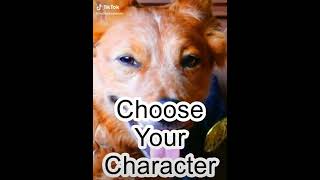 Choose Your Character - Radical Reviewer