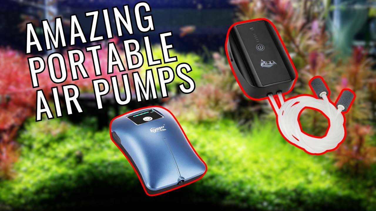Must Have Fish Tank Air pump No One Talks About YouTube