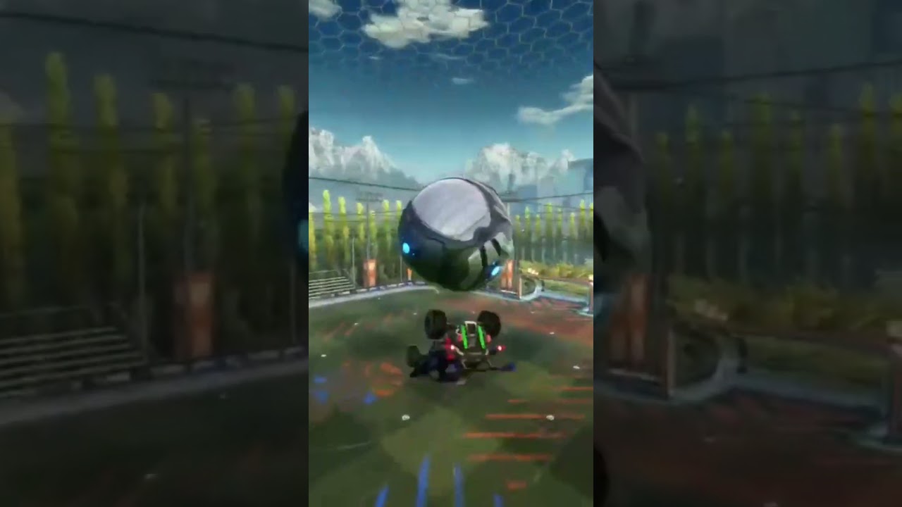 Learning how to flip reset